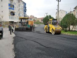 ALAPLIDA ASFALT ÇALIŞMALARI YENİDEN BAŞLADI